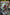 RED HOOD OUTLAW #40 YOTV ACETATE (11/13/2019)