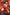 ABSOLUTE WONDER WOMAN #12 John Giang FOIL Variant NYCC EXCLUSIVE