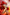 RED SONJA 2023 #3 UNKNOWN COMICS ZHUO | SZERDY EXCLUSIVE NYCC BLOODY VIRGIN VAR (10/25/2023)