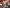 AVENGERS LH #675 LEG 1/10/2018 3D LENTICULAR wraparound