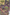 CONAN THE BARBARIAN EXODUS #1 BOBG VAR (08/07/2019)