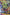 Hulk Vs. Thor: Banner Of War Alpha 1 Unknown Comics Tyler Kirkham Exclusive Var (05/04/2022) (05/11/2022)
