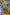 Hulk Vs. Thor: Banner Of War Alpha 1 Unknown Comics Tyler Kirkham Exclusive Virgin Var (05/04/2022) (05/11/2022)
