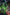 The Will of Doom #1 Tiago Da Silva [AC Pop Megacon Exclusive]